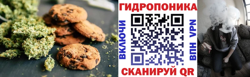 цены Санкт-Петербург Cannafood конопля