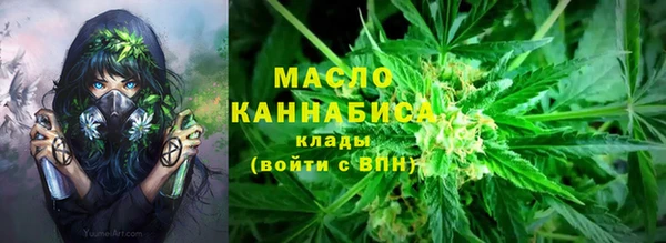 apvp Михайлов