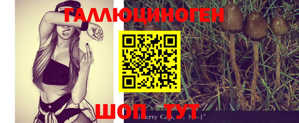 Галлюциногенные грибы мицелий Санкт-Петербург