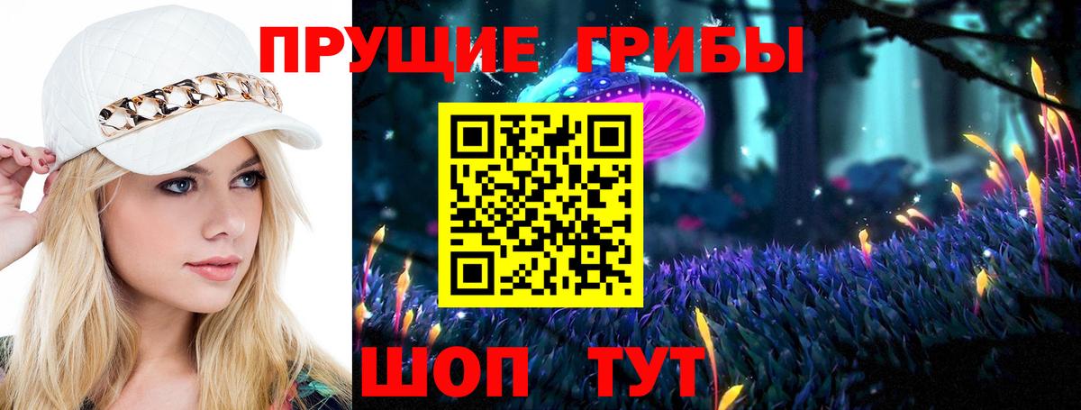 Псилоцибиновые грибы Psilocybine cubensis  Вход с VPN  Галлюциногенные грибы Cubensis  Санкт-Петербург 