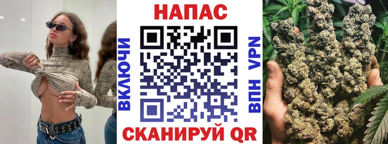 Каннабис OG Kush  Санкт-Петербург 
